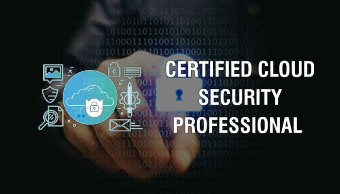 You are currently viewing CCSP Training