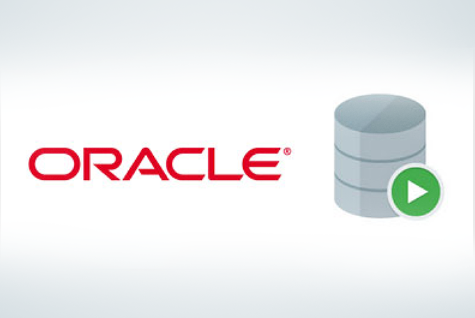 Read more about the article Oracle SQL Training