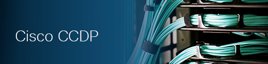 Read more about the article CCDP Training